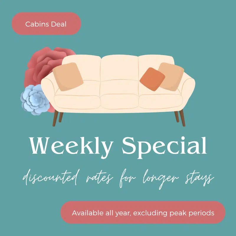 superior-one-bedroom-cabin-exterior