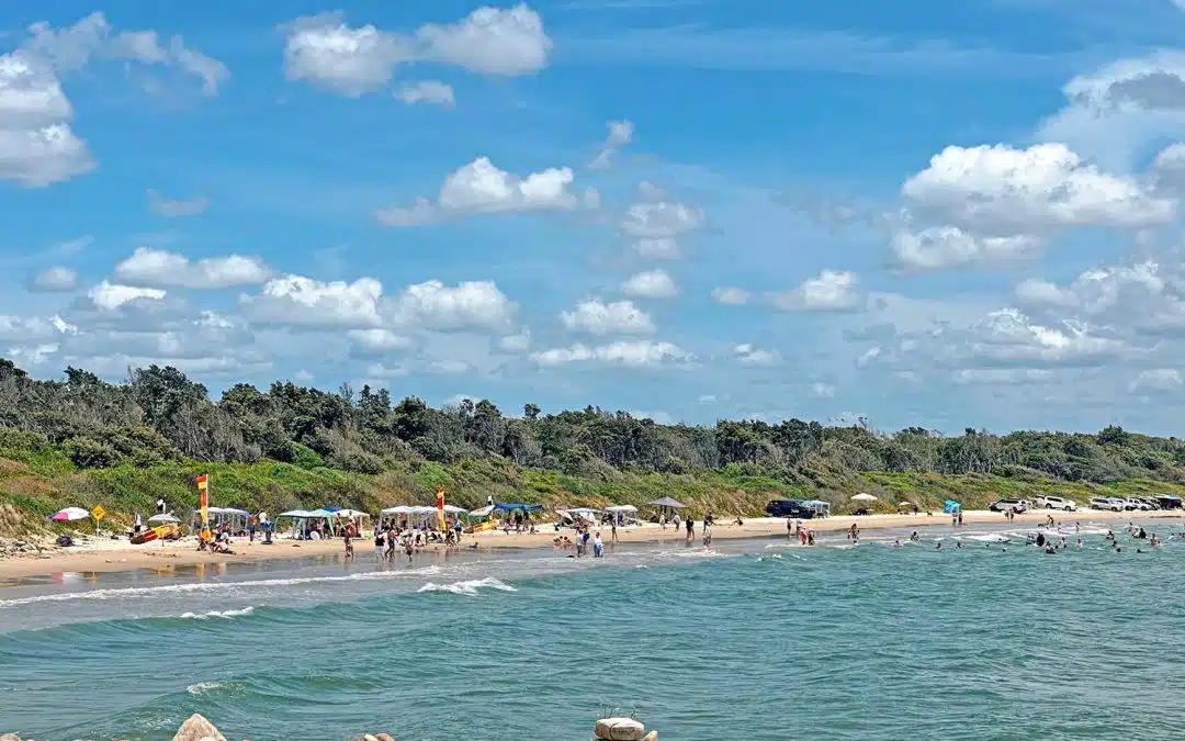 Harrington Beaches & Exploring