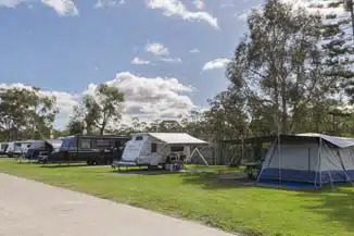 pet friendly camping nsw